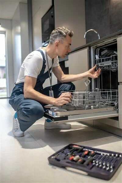 Dishwasher Repair in WA